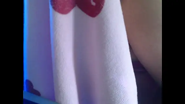 Model29 webcam