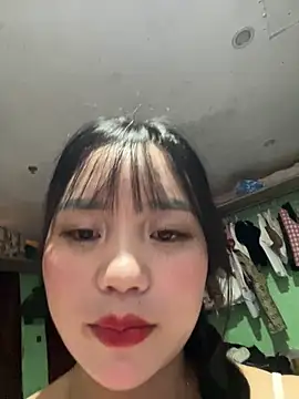 Honghoaa webcam