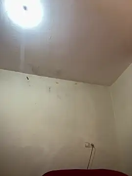 arabayla webcam