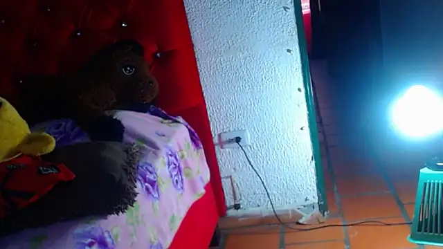janex69 webcam