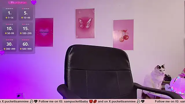 Sampuckettbaby webcam