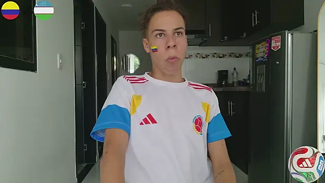 grey___27 webcam
