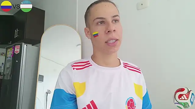 grey___27 webcam