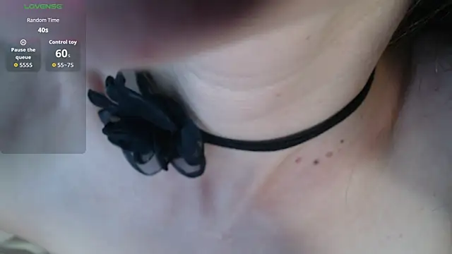 BB_Web webcam