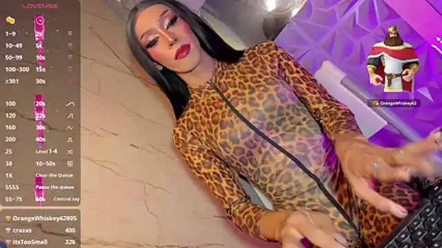 anitacruise webcam