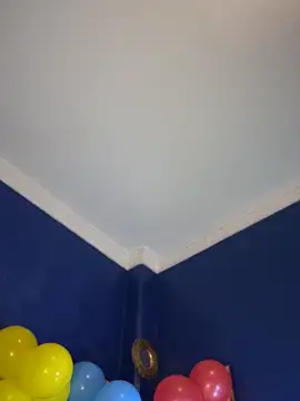 LeylaKnox webcam
