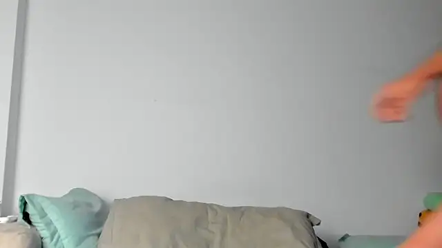 10in_deluxe webcam