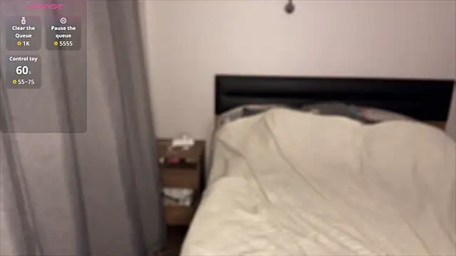 saykicklife webcam