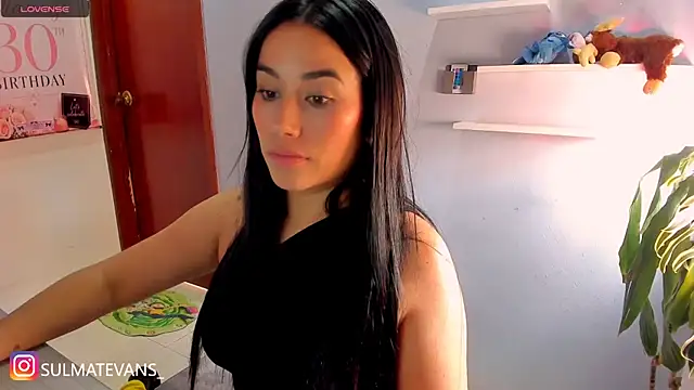 _sulmatevans_ webcam