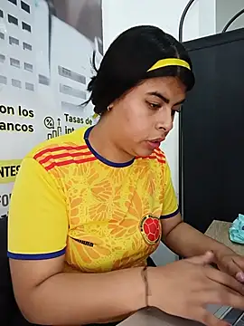 SOFIA-11_ webcam
