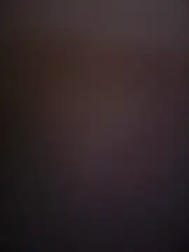 Stefany_LS webcam