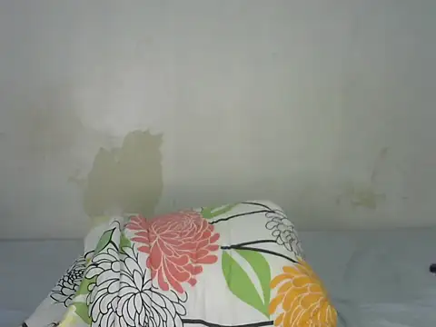pretty_siren webcam