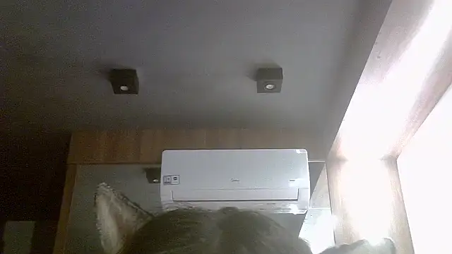 SkinnyKitten webcam
