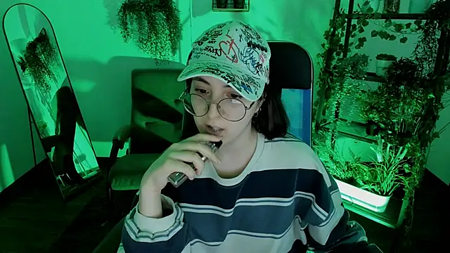 VirtuallVoyant webcam