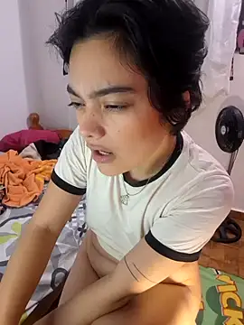 Meeliivee webcam
