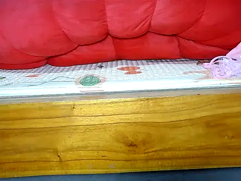 Jin-Linh webcam