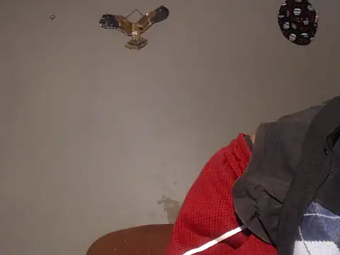 Frank_X_Husle webcam