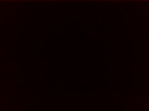 nikita202612 webcam