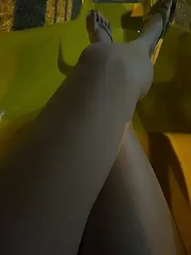 Hiddenleon webcam