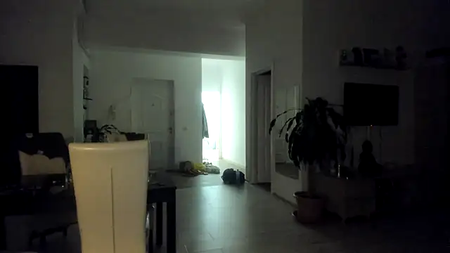 woolfiie webcam