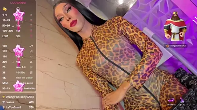 anitacruise live cam room
