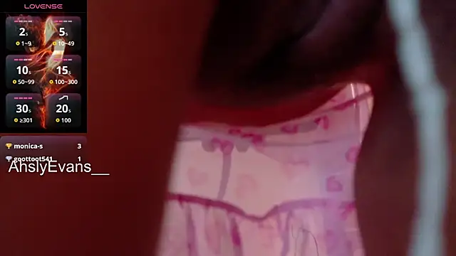 AhslyEvans__ webcam