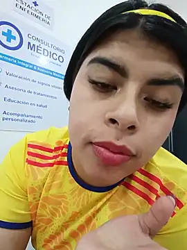 SOFIA-11_ webcam