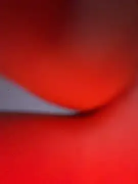 SummerHoney webcam