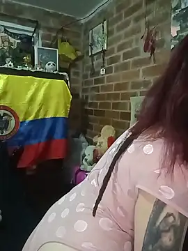 _Alaskamisa webcam