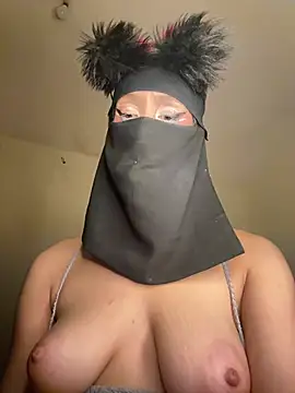 arabayla webcam