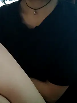 Aashikalaa webcam