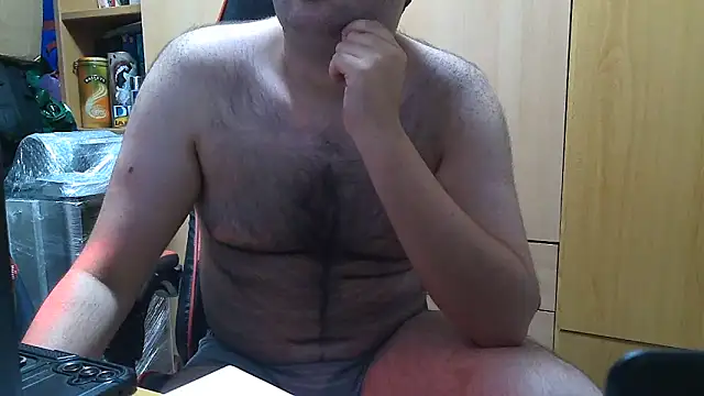 Javier_bear webcam