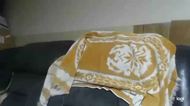 BrisonChase live cam room