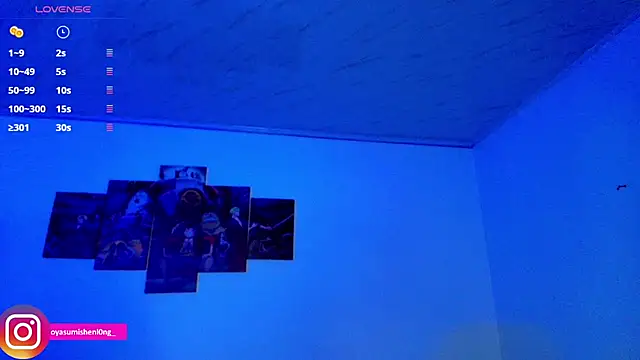 Nicorobinn webcam