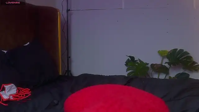 laybunny1 webcam