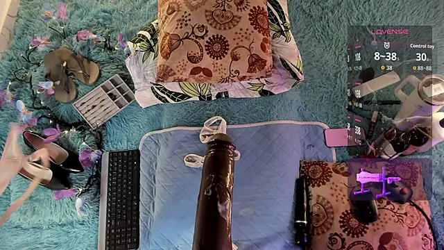 Eilin_clio webcam