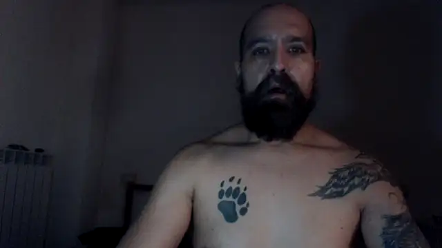 AMIRDIB2025 webcam