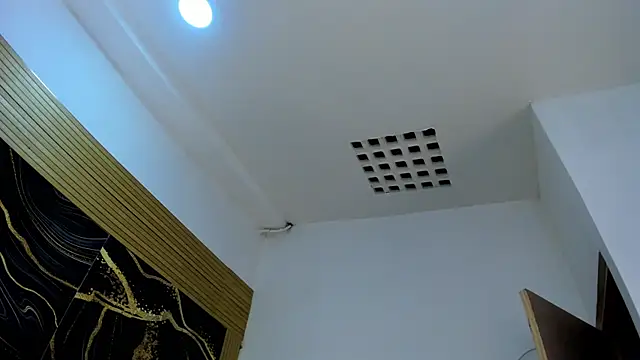 VioletRose_as webcam