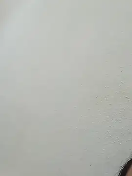 Alevsiz webcam