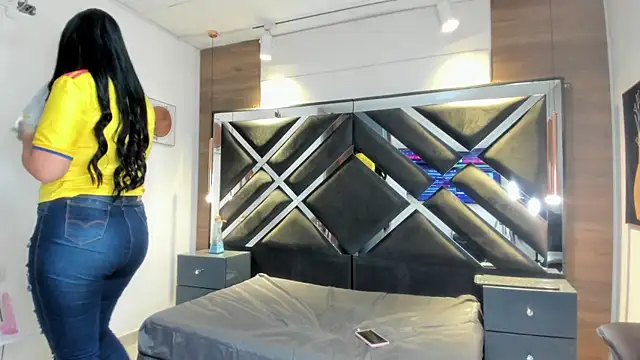 SkyCollins webcam