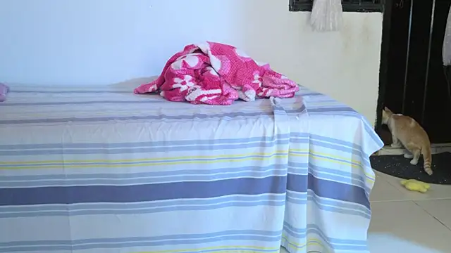 eva_sin18 webcam