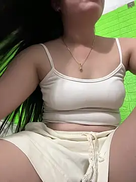 Honghoaa webcam