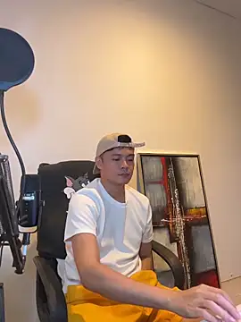 clarkdangerous webcam