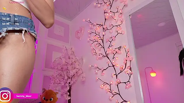 Sammyblaer webcam