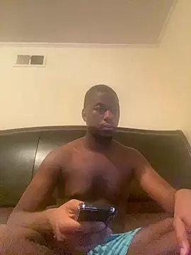 ThickDic28 webcam
