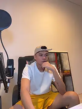 clarkdangerous webcam