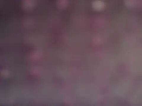 19cmpica webcam