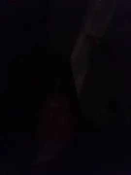 Alexis_Bull webcam