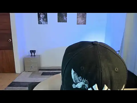 sant_wahlberg webcam