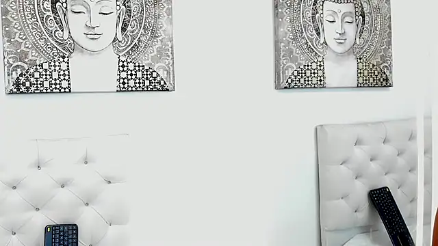 Chirs_Arthus webcam